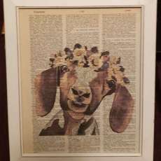 Floral Goat Yoga Framed Print