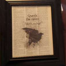 Edgar Allen Poe The Raven Framed Print