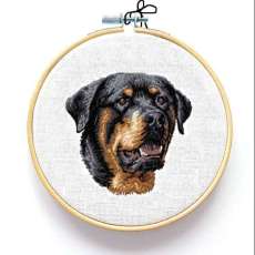 Rottweiler