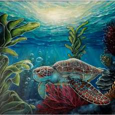 Sea Turtle