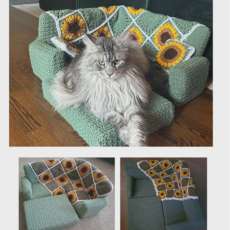Joann Bills