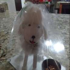 Whit Poodle Pinecone With Food Dish