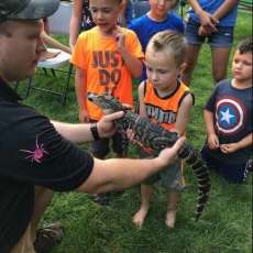 Reptile Show: Chubbs the Alligator