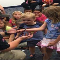 Big Show: African Giant Millipede