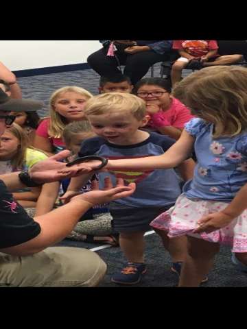 Big Show: African Giant Millipede