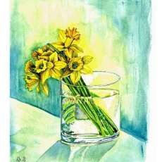 Daffodils