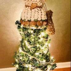 Shelly the Seashell Lady