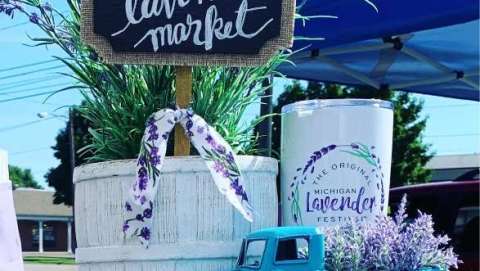 The Michigan Lavender Festival