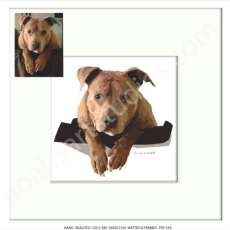 Kano -Facebook.Com/Noahsartstudios247