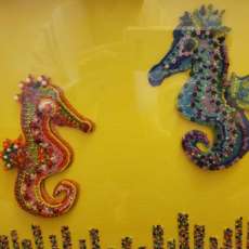 Seehourses Where You Wanna See Them