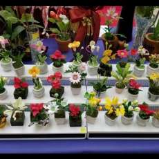 Mini Pot of Clay Flowers