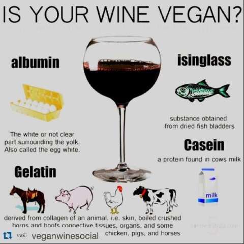 Animal Byproducts in My Wine!?!