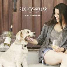 Wine Tastings For a Living!!