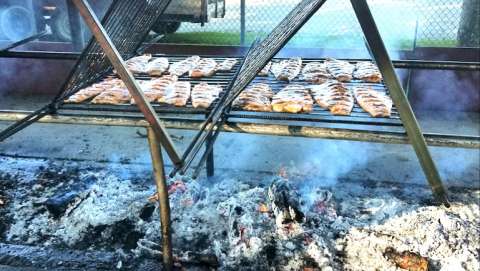 Salmon Barbecue Dinner Picnic