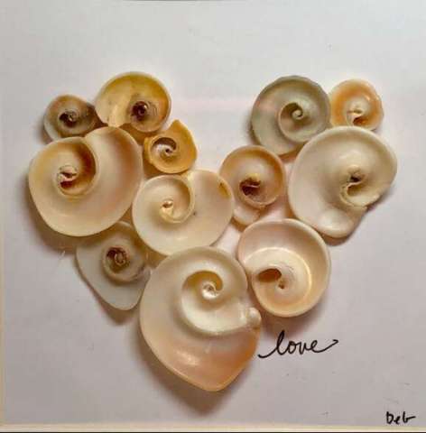Spiral Shell Heart