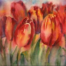 Sea of Tulips 2