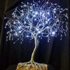 Large Tree With Lights