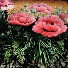 Poppies on Canyon Road