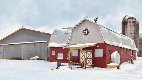 Elf-Land Christmas Festival