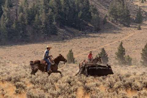 Nothing Says the Old West Like a Cattle Drive