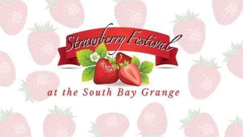 Strawberry Festival and Craft Market