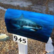 Shark Mailbox