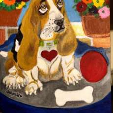 Bassett Hound With the Red Ball and Bone