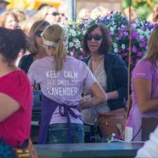 Lavender Festival