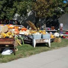 Flea Market / Swap Meet Hamburg Iowa