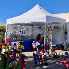 Best in Ease-Of-Operation