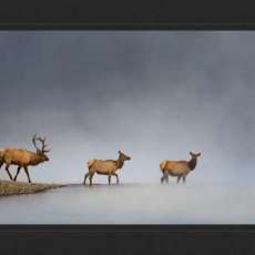 Mountain West Photography