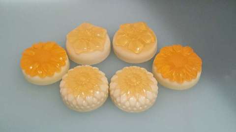 Mango Papaya Women's Soap