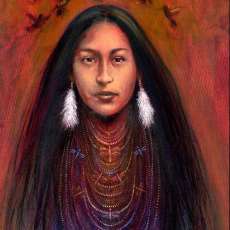 The Hummingbird Catcher