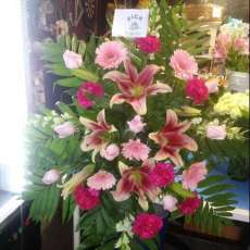 Stargazer Funeral Spray