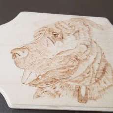 Wood Burned Dog