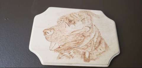 Wood Burned Dog