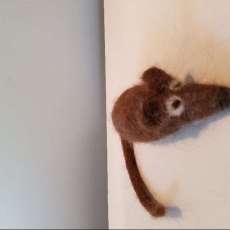 A Mouse For Your House