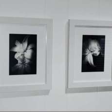 Black & White Framed Photo Prints