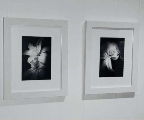 Black & White Framed Photo Prints