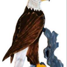 Cabin Style Eagle Wall Decor- Lots of Other Designs Available!