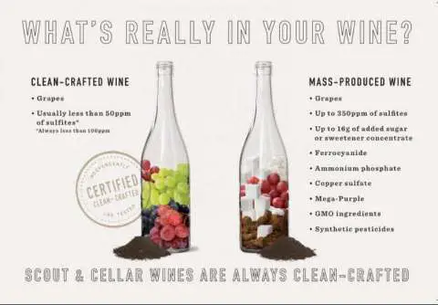 What's in Your Wine