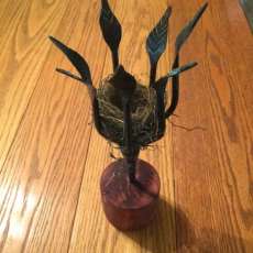 Blacksmith Birdnest