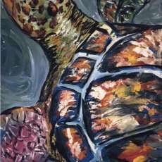 Colorful Turtle