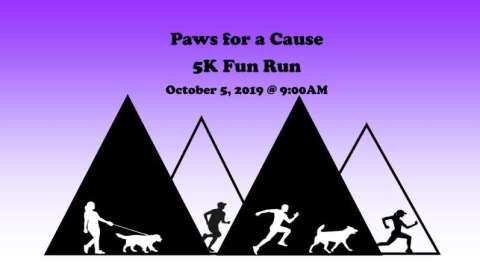 Paws For a Cause
