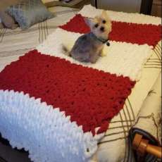 Red and White Throw