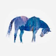 Bowing Horse Double Image