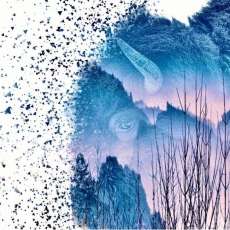 Buffalo Double Image