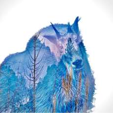 Goat Double Image Photography