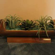 Sea Glass Succulent Garden