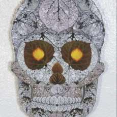 Aspen Leaf Skull 29